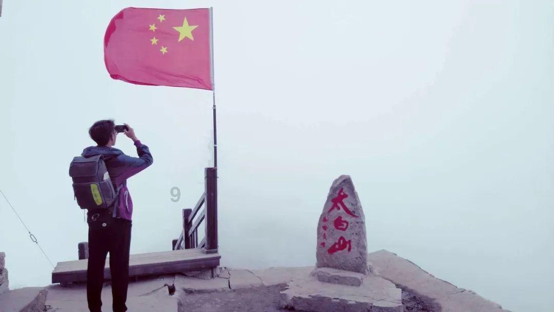 有趣的动物拼图