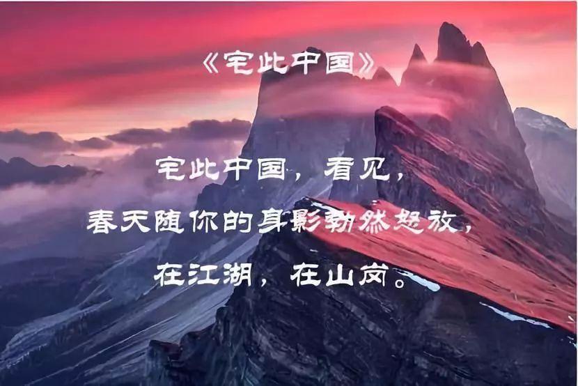 小猫钓鱼正版下载中文版