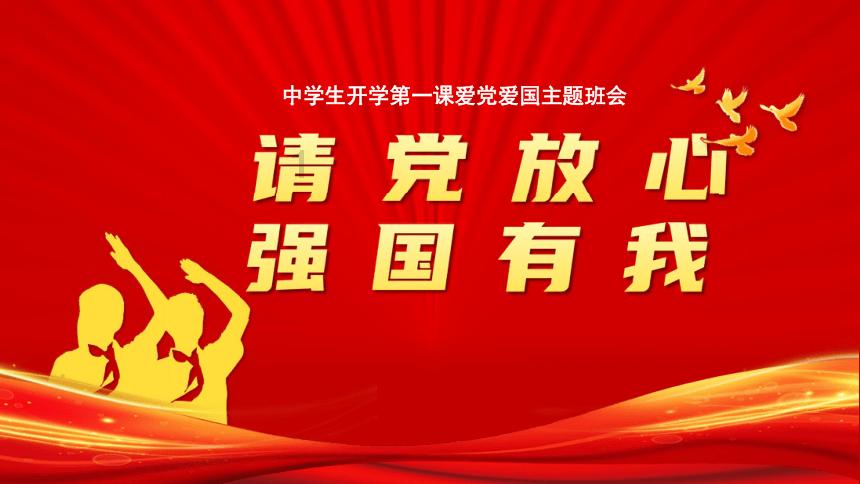 美丽的铅笔裙